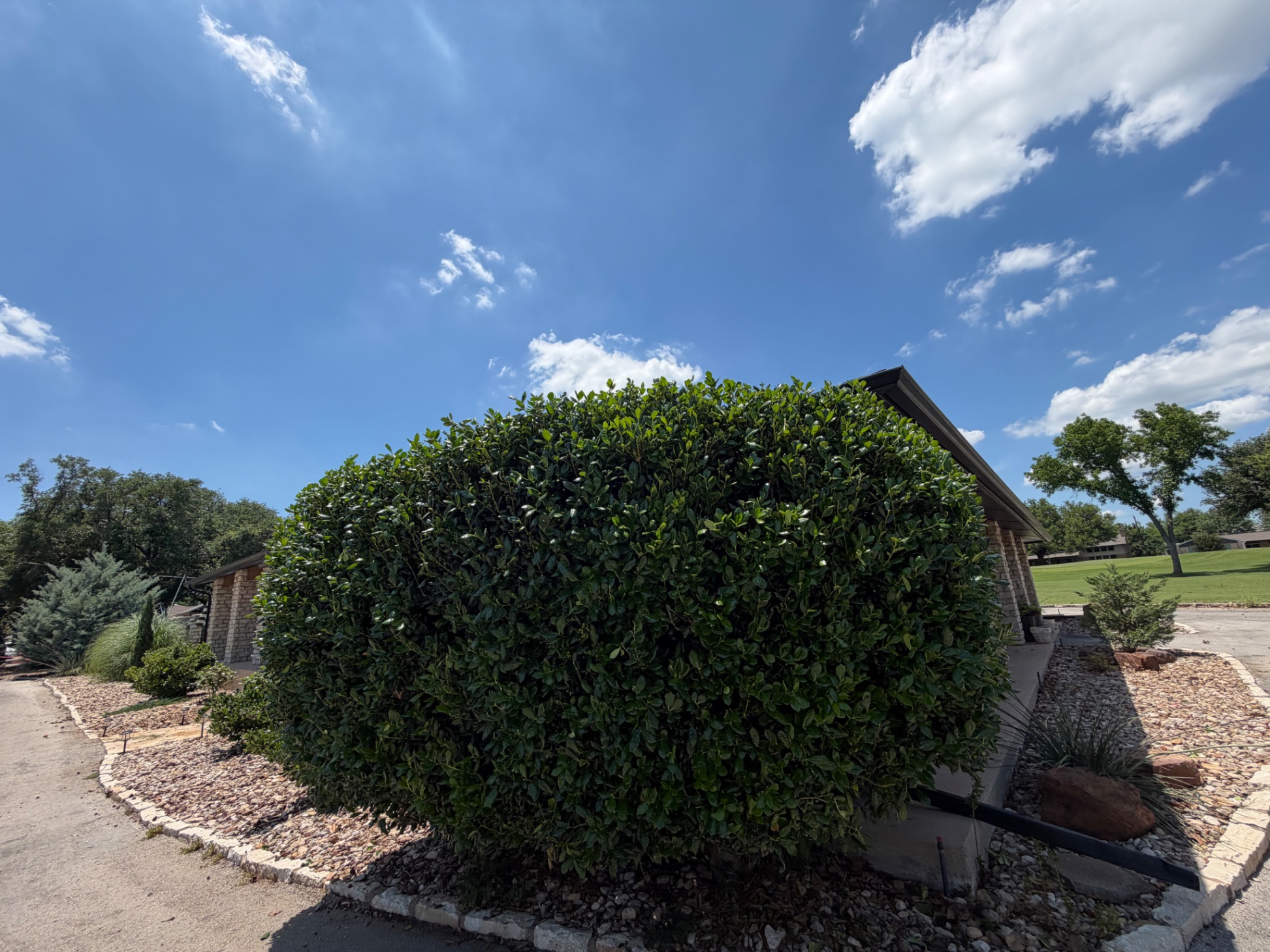 Trimmed shrub landscaping bed with stone border