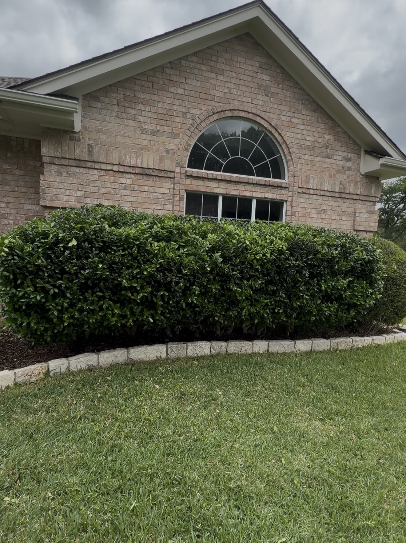 Trimmed hedge shrubs with stone border and lawn maintenance